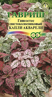 Гипоэстес Капли акварели, 4 шт.