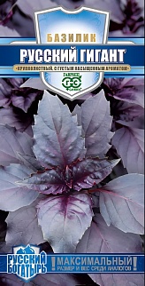 Базилик Русский гигант, фиолетовый, 0,1 г. Русский богатырь.