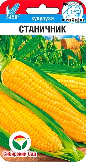 Кукуруза Станичник, 6 шт.