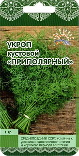 Укроп Приполярный, 1 г. Лето