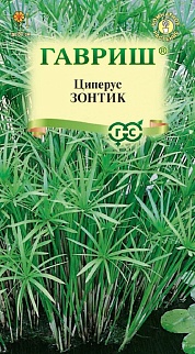 Циперус очереднолистный Зонтик, 0,05 г
