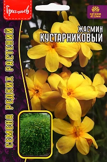 Жасмин Кустарниковый, 5 шт.