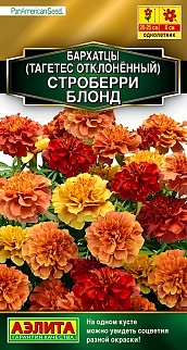 Бархатцы Строберри блонд отклоненные, 5 шт.