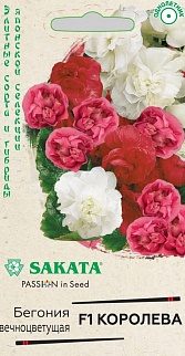 Бегония вечноцветущая Королева F1, смесь, 4 шт. Саката.