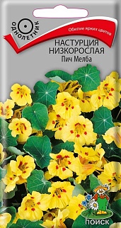 Настурция низкорослая Пич Мелба, 1 г