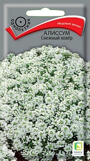 Алиссум Снежный ковёр, 0,3 г