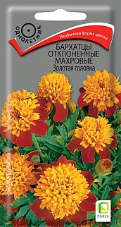 Бархатцы отклоненные махровые Золотая головка, 0,4 г