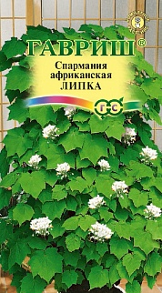 Спармания комнатная Липка, 3 шт.