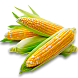 Кукуруза