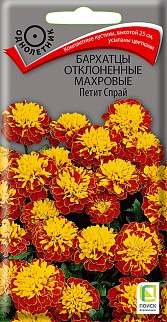 Бархатцы отклоненные махровые Петит Спрай, 0,4 г