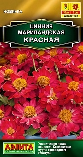 Цинния мариландская Красная, 15 шт.