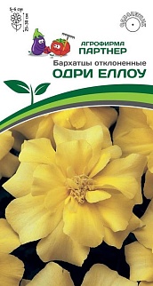 Бархатцы отклоненные Одри Еллоу, 10 шт.