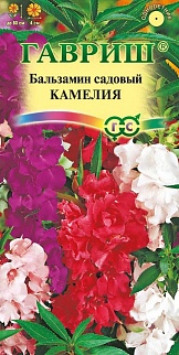 Бальзамин Камелия садовый, 0,2 г