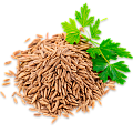 Кумин (зира)