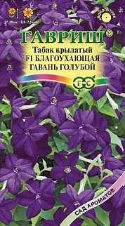 Табак Благоухающий гавань голубой F1, 4 шт.