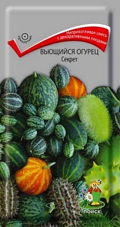 Вьющийся огурец Секрет, 0,1 г
