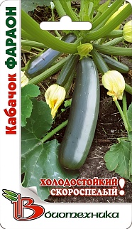 Кабачок Фараон, 8 шт. Биотехника.