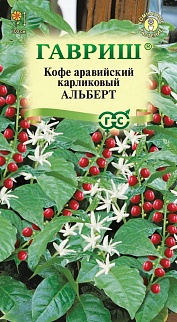 Кофе аравийский карликовый Альберт, 5 шт.