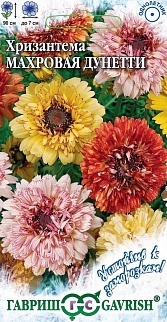 Хризантема махровая Дунетти, смесь, 0,5 г. Устойчив к заморозкам.