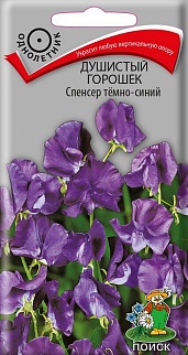 Душистый горошек Спенсер темно-синий, 1 г