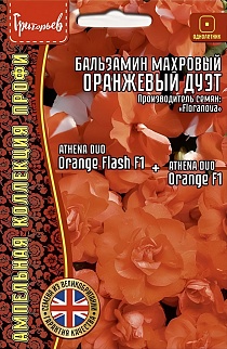 Бальзамин Афина Оранжевый Дуэт F1, махровый, 4 шт. 