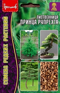 Лиственница Принца Рупрехта, 15 шт.