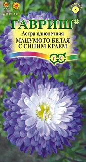 Астра Мацумото белая с синим краем, 0,3 г
