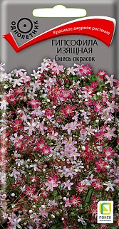 Гипсофила изящная Смесь окрасок, 0,2 г