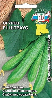Огурец Штраус F1, 8 шт. Профессиональная серия.