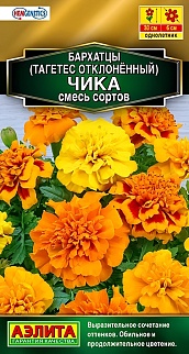 Бархатцы Чика отклоненные, смесь окрасок , 10 шт.