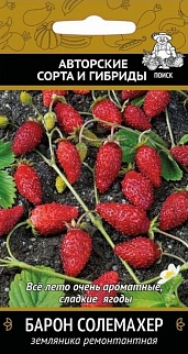 Земляника Барон Солемахер, ремонтантная, 100 шт. Поиск