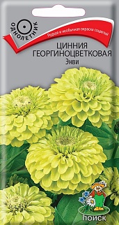 Цинния георгиноцветковая Энви, 0,4 г