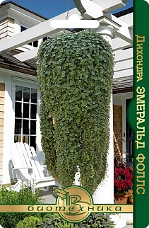 Дихондра Эмеральд Фоллс, 5 шт. Биотехника