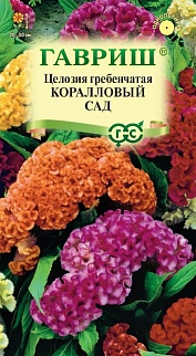 Целозия гребенчатая Коралловый сад, 0,2 г