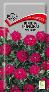 Вербена гибридная Маджента, 0,1 г