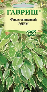 Фикус священный Эдем, 0,03 г