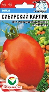 Томат Сибирский карлик, 20 шт. Сибирский сад