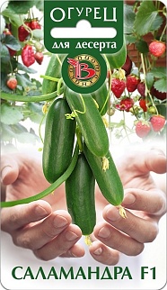 Огурец Саламандра F1, 8 шт. Биотехника