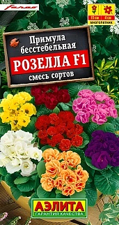 Примула Розелла F1, смесь окрасок, 7 шт. 