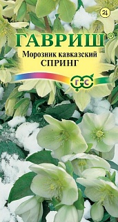 Морозник Спринг лимонно-зеленый восточный (кавказский), 0,1 г 