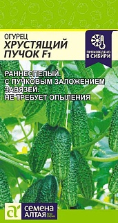 Огурец Хрустящий Пучок F1, 5 шт.