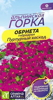 Обриета Пурпурный каскад, 0,03 г. Альпийская горка.