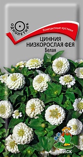 Цинния низкорослая Фея Белая, 0,1 г