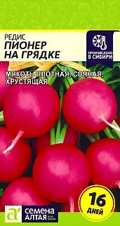 Редис Пионер на Грядке, 1 г