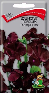 Душистый горошек Спенсер божоле, 1 г
