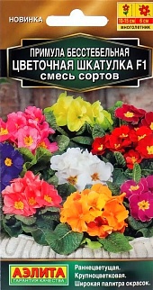 Примула Цветочная шкатулка F1, смесь сортов, 5 шт.