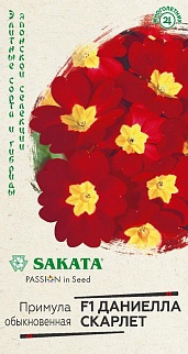 Примула Даниелла скарлет F1, бесстебельн., 5 шт. Саката.