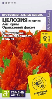 Целозия Айс Крим Оранжевый факел перистая, 10 шт. 
