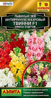 Львиный зев махровый Твинни F1, смесь окрасок, 10 шт.
