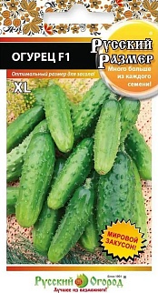 Огурец F1 Русский размер, 10 шт. Русский огород